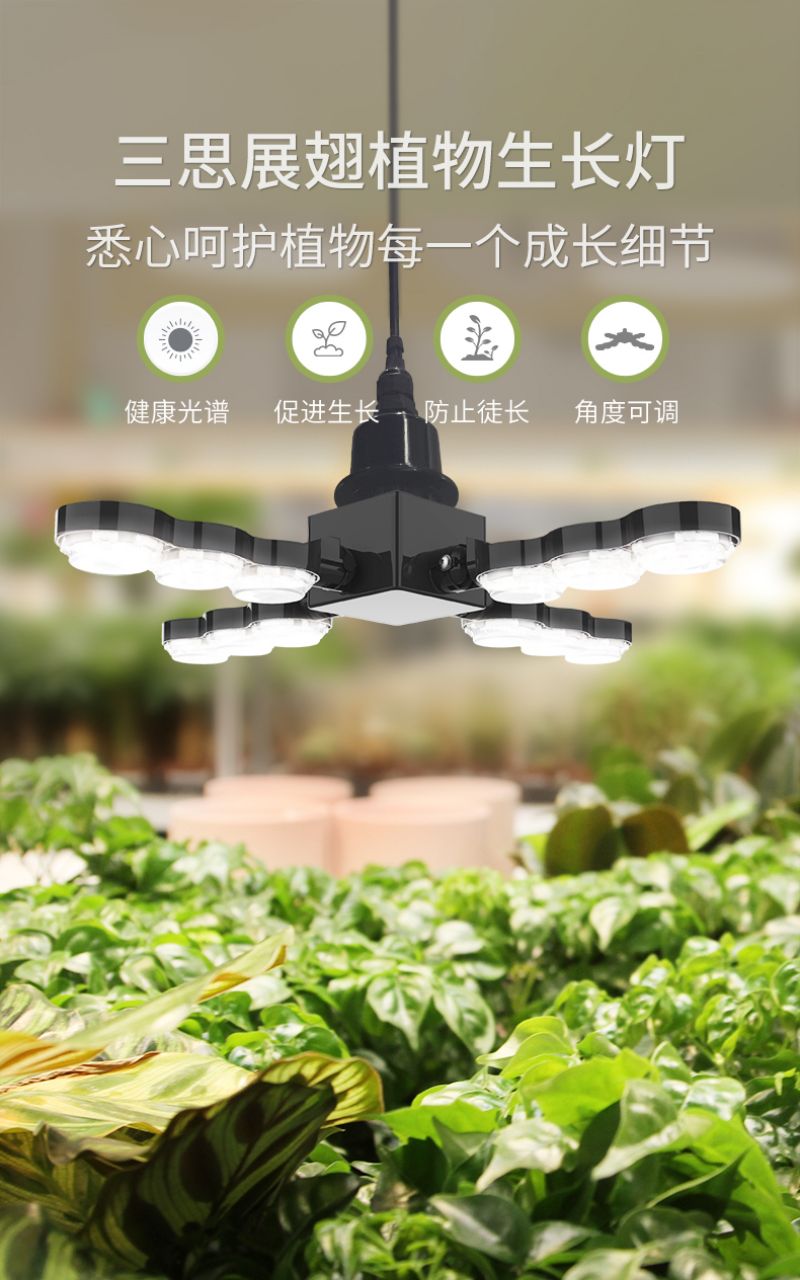 香蕉影视植物燈
