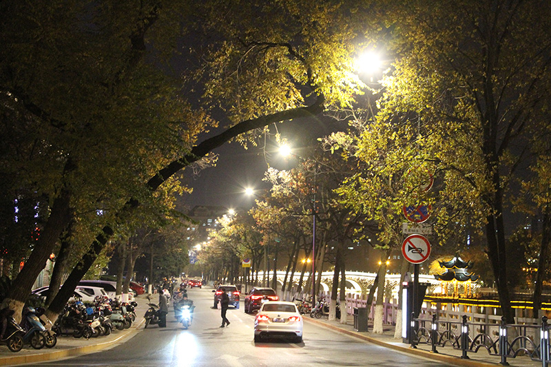 新技術,道路照明設施,引領城市,智慧（huì）化建設