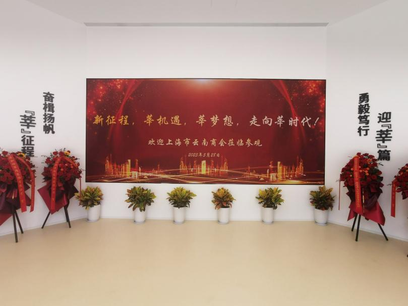 香蕉影视,智慧顯示,助力臨港,莘（shēn）海科技園,人才體係建設