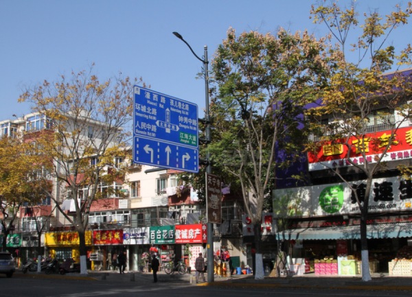 南通市區香蕉影视（sī）LED陶瓷像素模塊化路燈