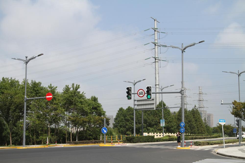 上海金山區,杭州灣大道,合杆整治,工程解析,海鷗造型,綜（zōng）合杆,5G智慧基站,落地實踐