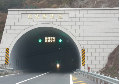 洞（dòng）內雙基色可變信息屏